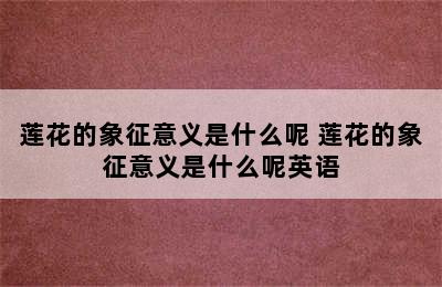 莲花的象征意义是什么呢 莲花的象征意义是什么呢英语